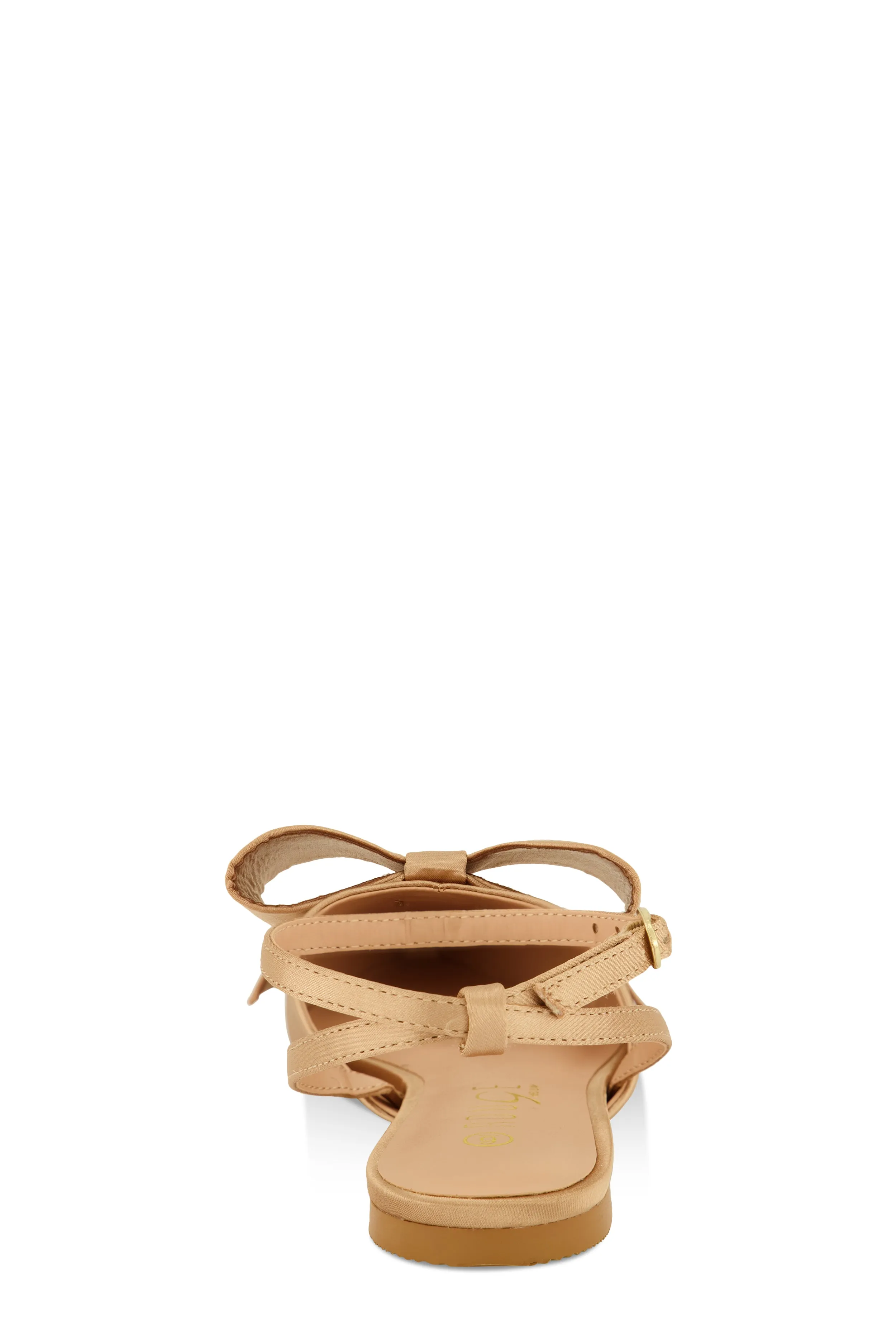 Bow Pointed Toe Ankle Strap Flats