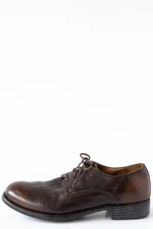 Calixte/001 Lace Oxford